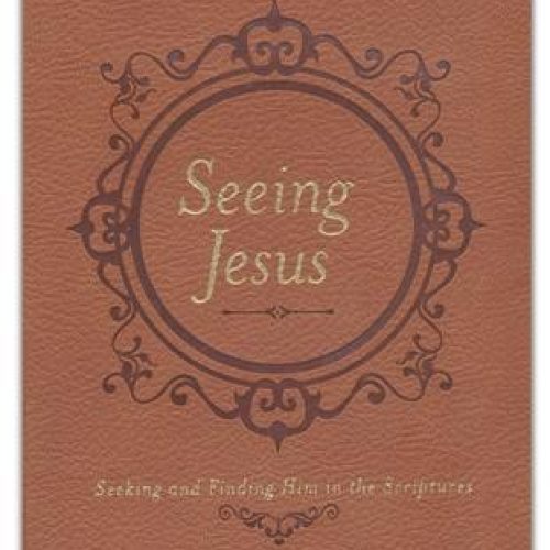 Seeing Jesus
