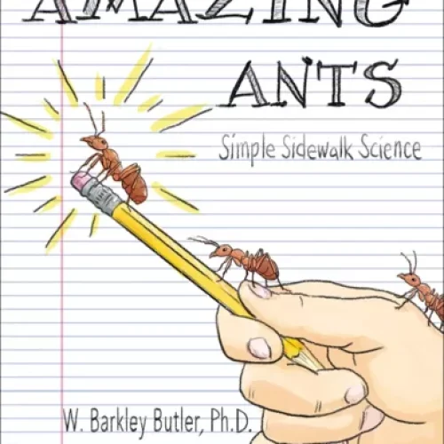 Amazing Ants: Simple Sidewalk Science