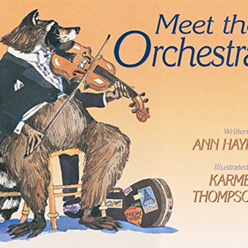 Meet the Orchestra