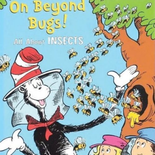 On Beyond Bugs