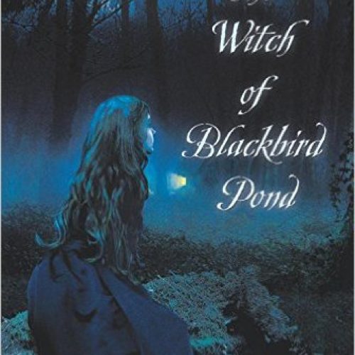 The Witch of Blackbird Pond