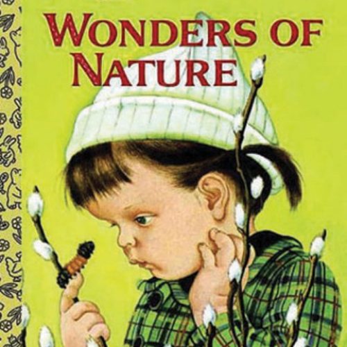 Wonders of Nature