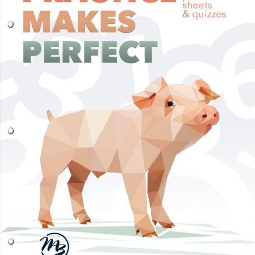 Practice Makes Perfect: Level 1