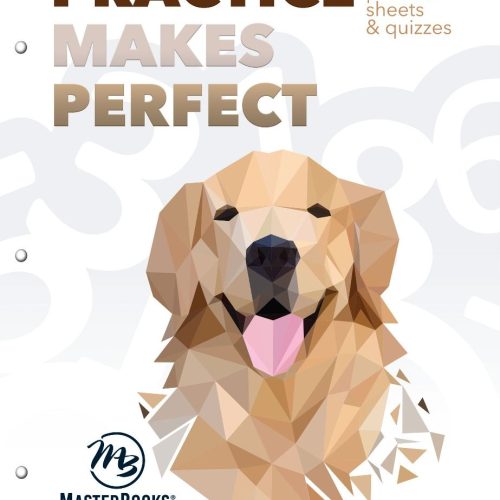 Practice Makes Perfect: Level 2
