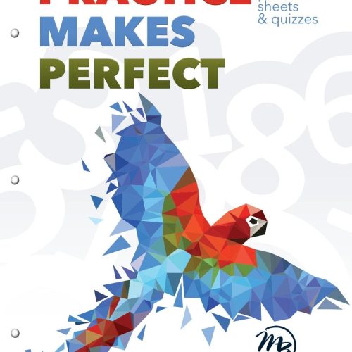 Practice Makes Perfect: Level 3