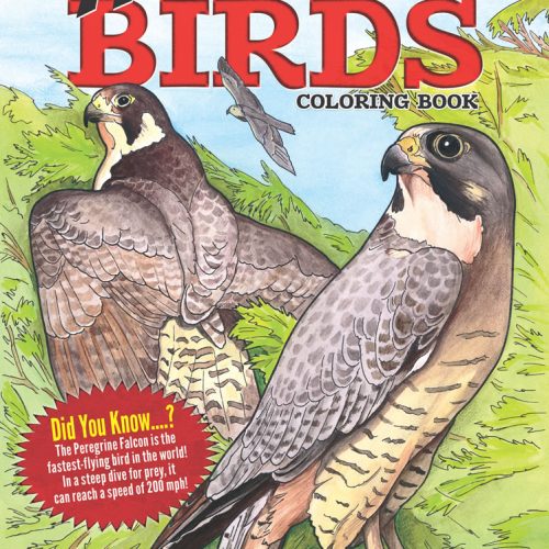 Amazing Birds Coloring Book