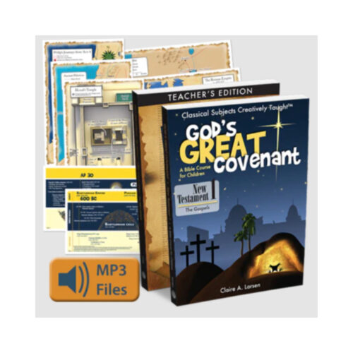 God's Great Covenant: New Testament 1 - Complete Set