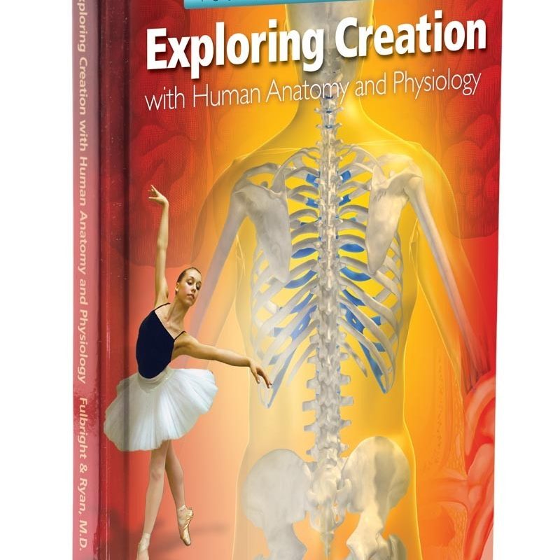 Exploring Creation with Human Anatomy and Physiology - Young Explorer Series