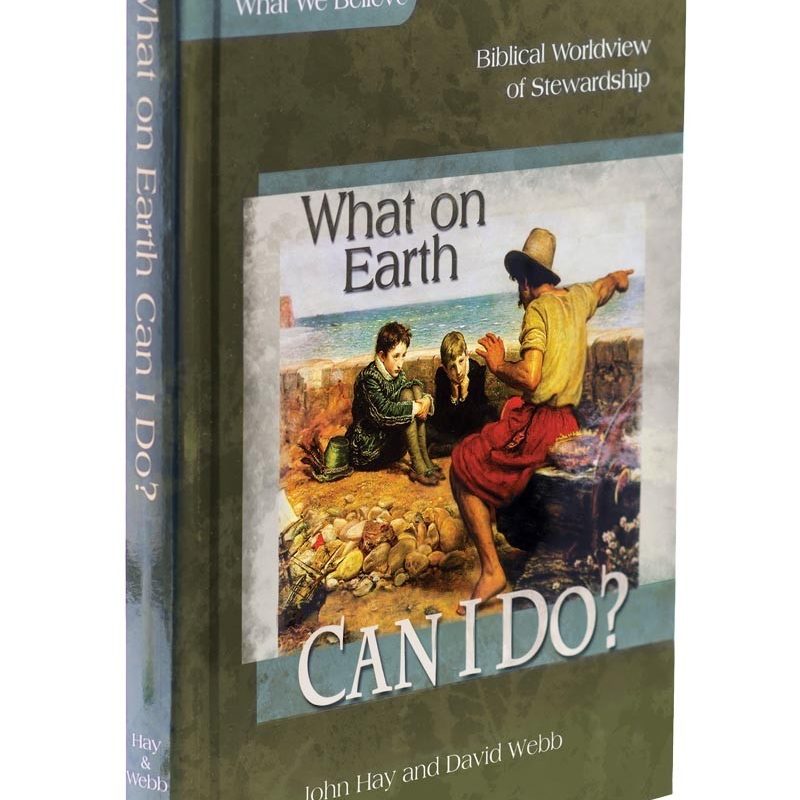 What on Earth Can I Do?