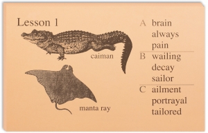 Phonetic Zoo: Lesson Cards