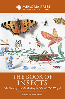 The Book of Insects - Text