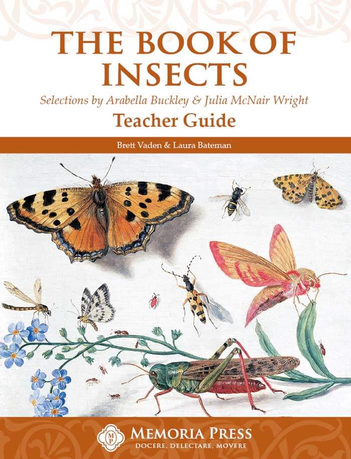The Book of Insects - Teacher Guide