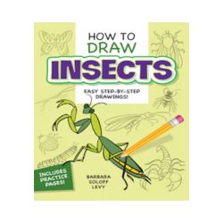 How to Draw Insects