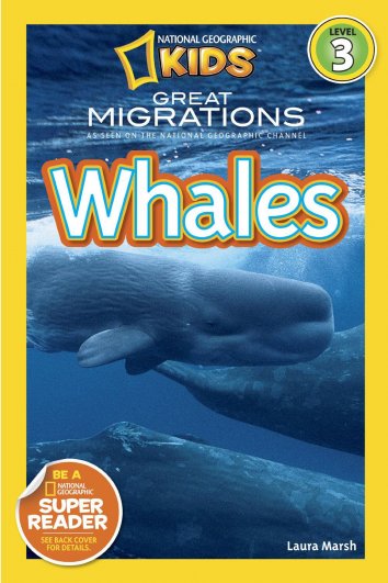 Great Migrations: Whales