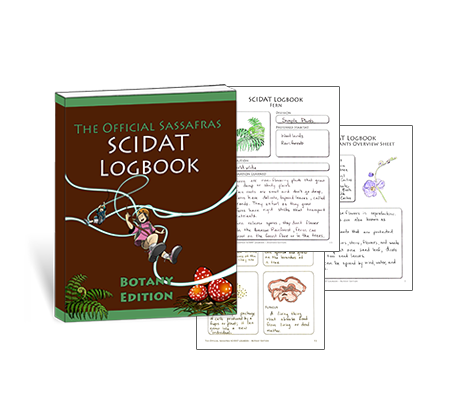 The Official Sassafras SCIDAT Logbook: Botany Edition