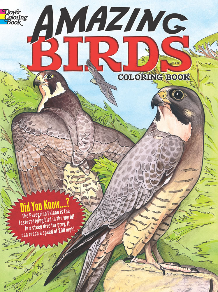 Amazing Birds Coloring Book