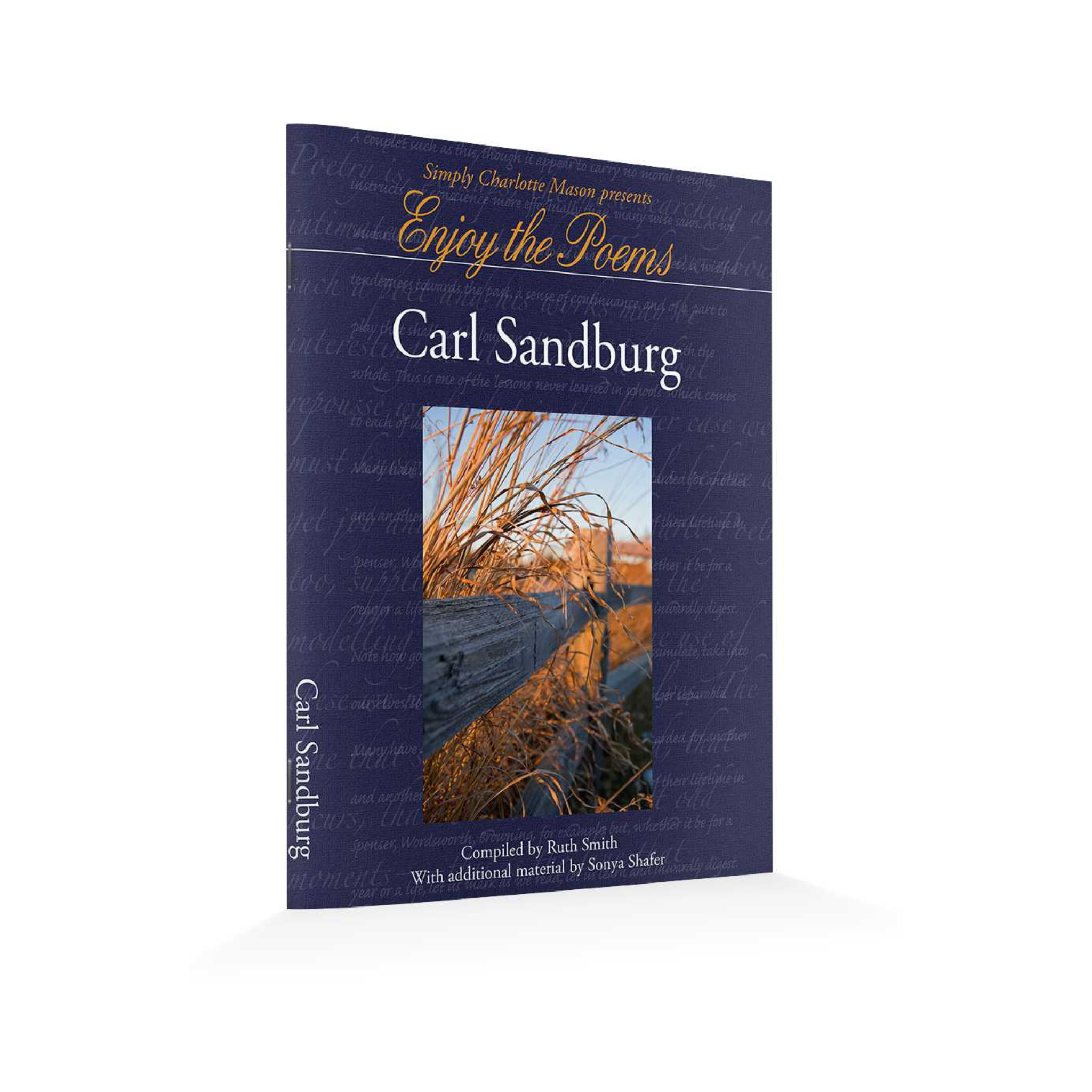 Enjoy the Poems of Carl Sandberg