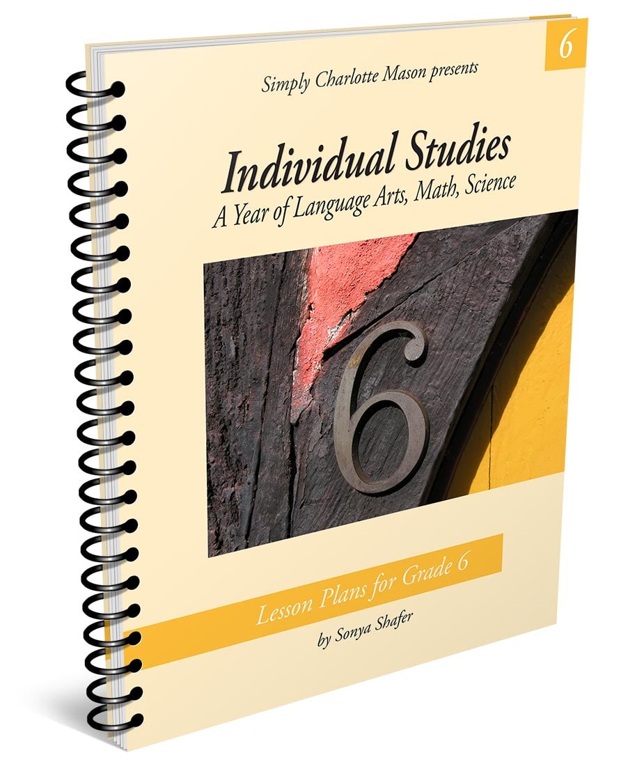 Individual Studies Grade 6