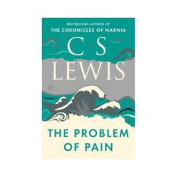 The Problem of Pain