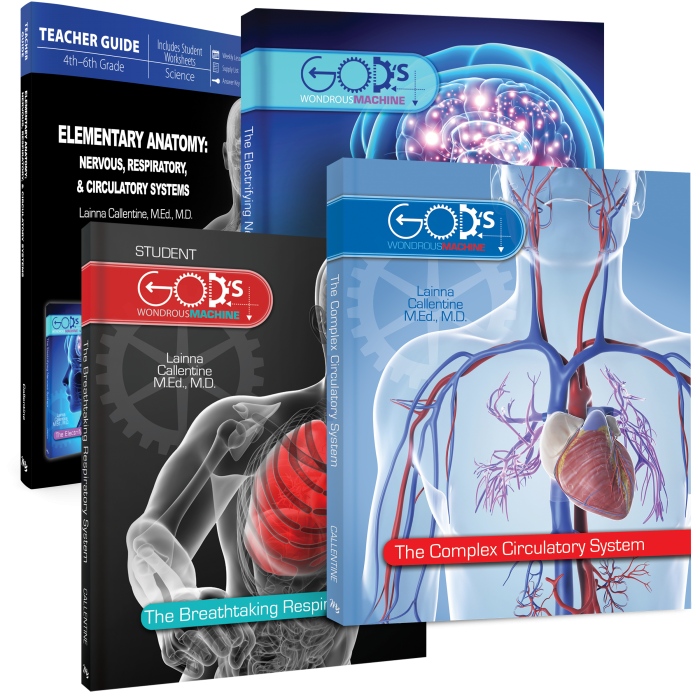Elementary Anatomy: Nervous, Respiratory, Circulatory Systems Package