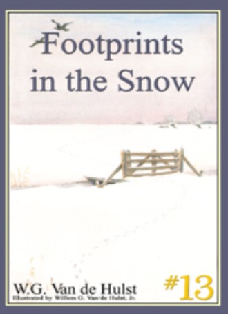 Footprints in the Snow