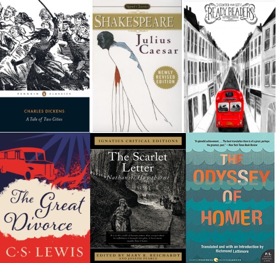 Ready Readers: High School Literature Package