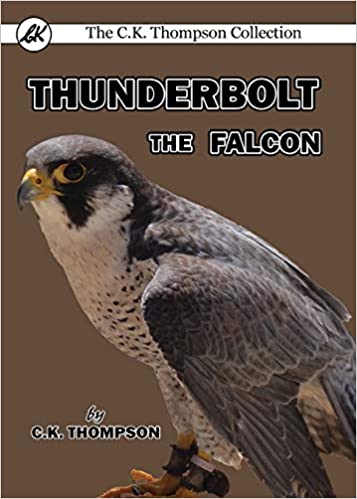 Thunderbolt the Falcon