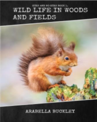 Wild Life in Woods and Fields