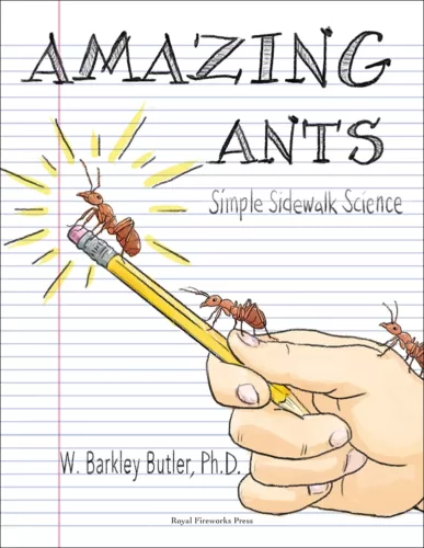 Amazing Ants: Simple Sidewalk Science