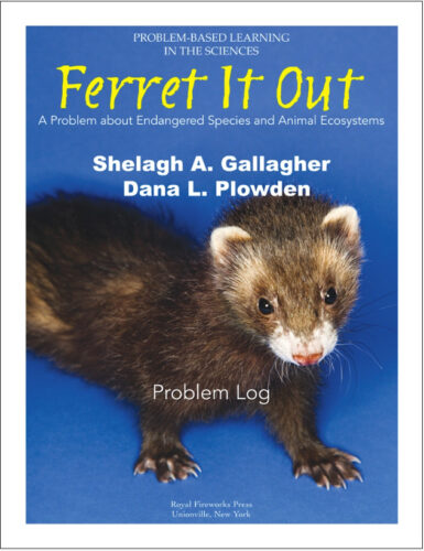 Ferret It Out - Problem Log