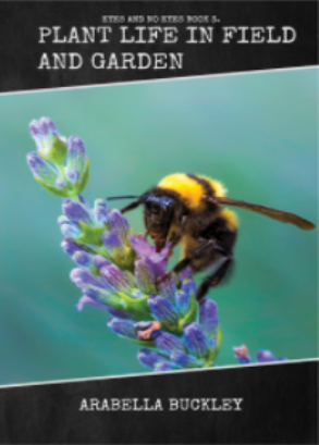 Plant Life in Field and Garden