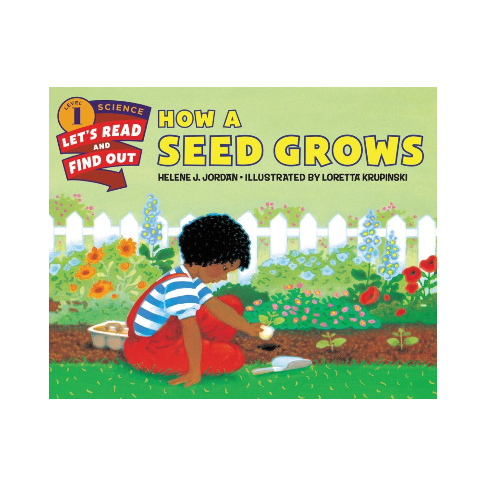 How a Seed Grows