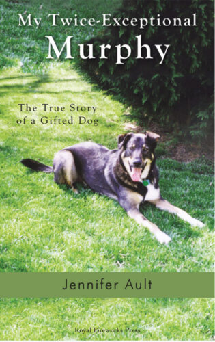 My Twice-Exceptional Murphy