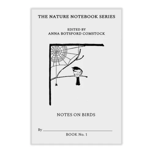 Notes on Birds 1