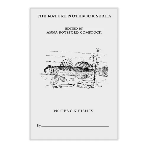 Notes on Fishes