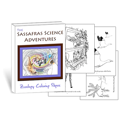 The Sassafras Science Adventures Volume 1: Zoology - Colouring Pages