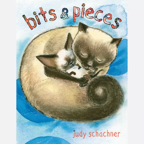 bits & pieces