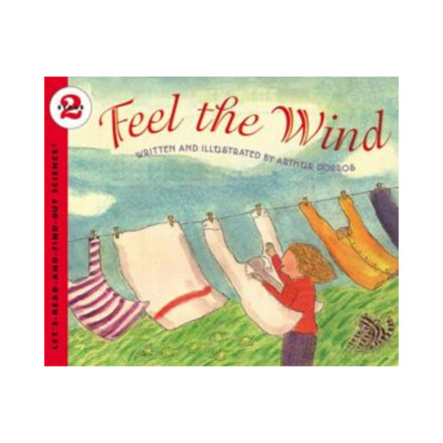 Feel the Wind