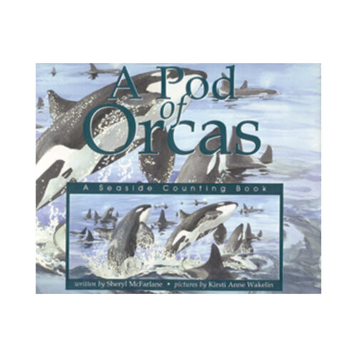 A Pod of Orcas