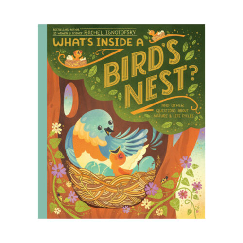 What's Inside a Bird's Nest?
