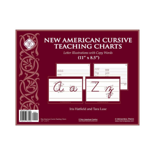 New American Cursive Teaching Charts