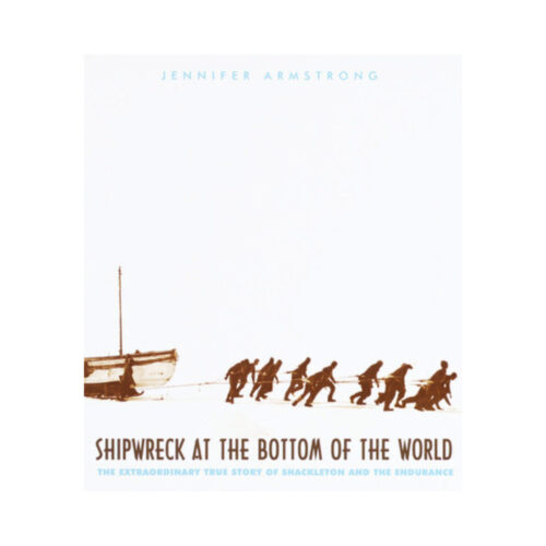 Shipwreck at the Bottom of the World