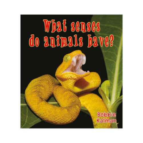 What Senses Do Animals Have?