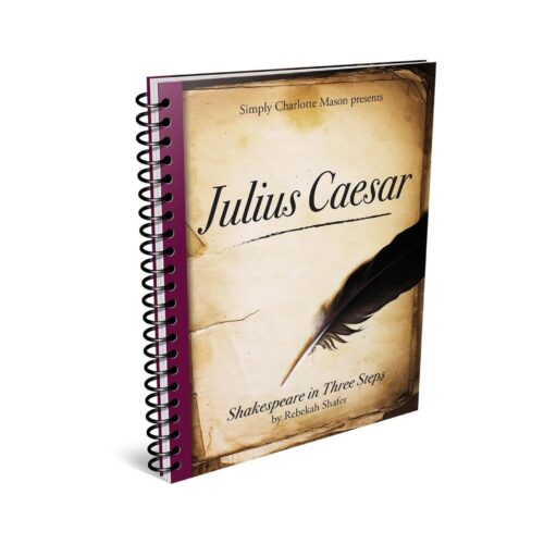 Shakespeare in Three Steps: Julius Caesar