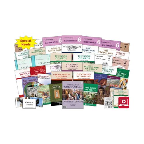 11. Simply Classical Curriculum: Levels 11 & 12 - One Year Pace