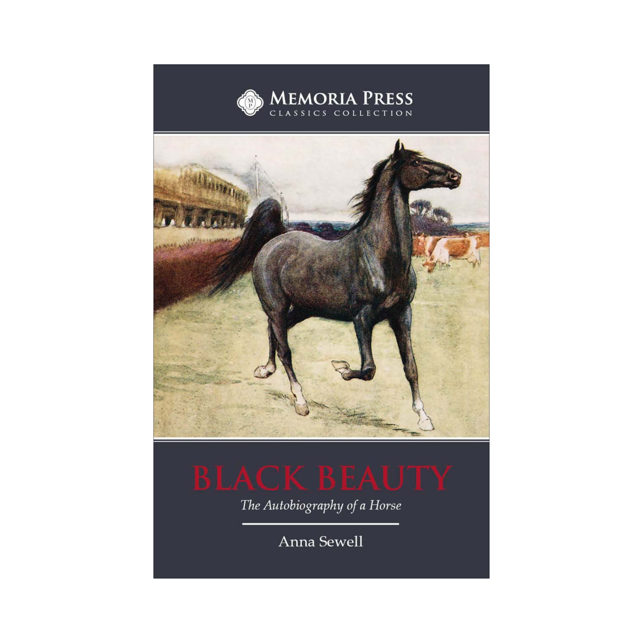 Black Beauty