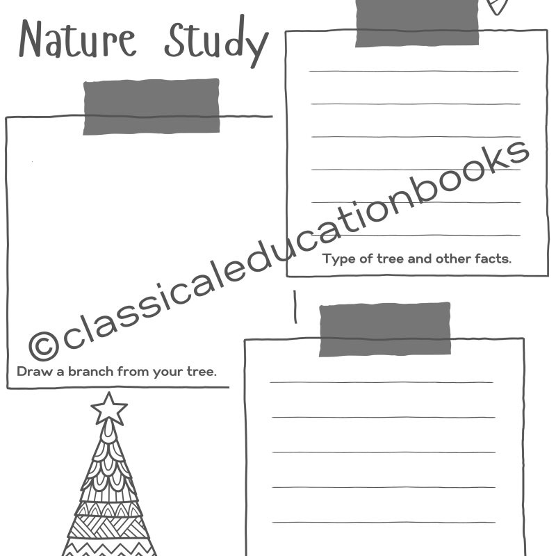 Christmas Tree Nature Study