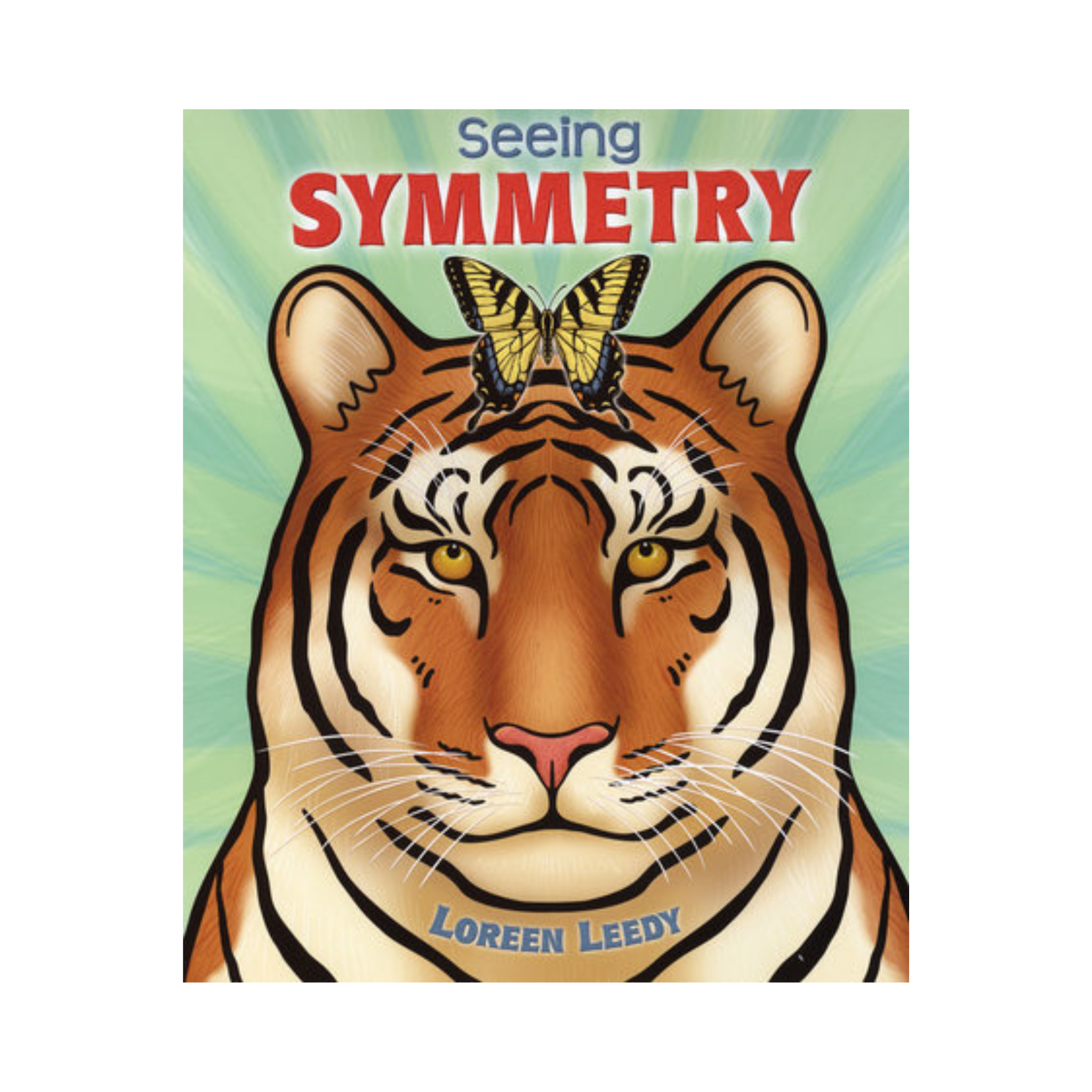 Seeing Symmetry
